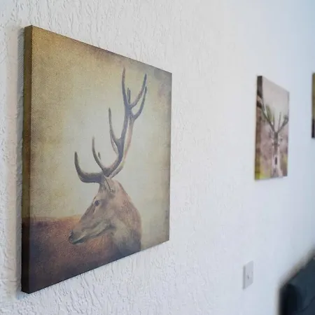 Comfort Terrace * Carlisle (Cumbria)