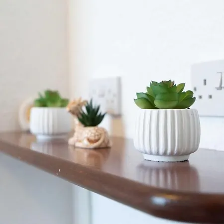 Feriehus Comfort Terrace Carlisle (Cumbria)