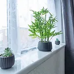 Comfort Terrace *